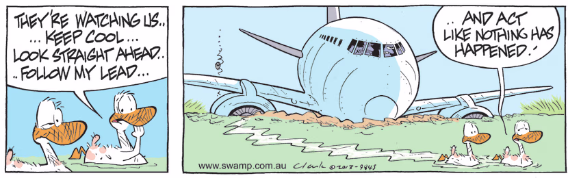 Aviator Ducks quietly swim away from downed aircraft hoping the pilots won't notice they are the cause of the engine failure. Swamp Cartoon - Aviator Ducks Quietly Swim AwayJuly 6, 2021