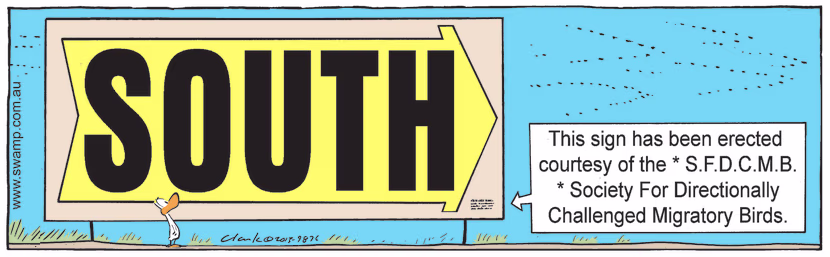 Society for directionally challenged ducks has erected sign with huge writing saying south so ducks know where to fly. Swamp Cartoon - Sign with Huge WritingJuly 21, 2021