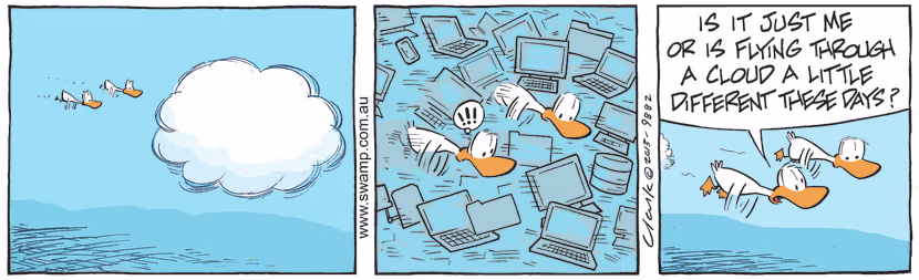 The Aviator Ducks are flying through cloud but they discover it's not like the ones they are used to flying through as it contains computers. Swamp Cartoon - Aviator Ducks are Flying Through CloudJuly 27, 2021