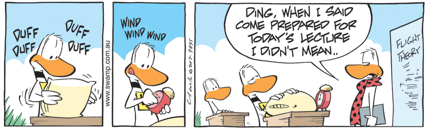 Swamp Cartoon - Ding Duck Expecting BoredomJuly 30, 2021