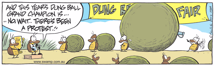 The judge at Dung Beetle Fair is about to present the award for biggest dung ball when a protest is lodged. Swamp Cartoon - Award for Biggest Dung BallSeptember 6, 2021