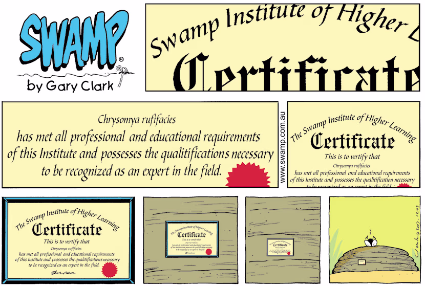 Swamp Certificate Higher Learning has been awarded to a student who has excelled in his studies of face planting in a cowpat. Swamp Cartoon - Swamp Certificate Higher LearningJuly 18, 2021