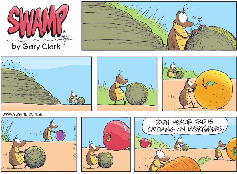 Dung Beetle is most happy he has rolled his dung ball only to see fellow beetles rolling fruit and vegetables fearing a health craze. Swamp Cartoon - Rolled his Dung BallFebruary 20, 2022