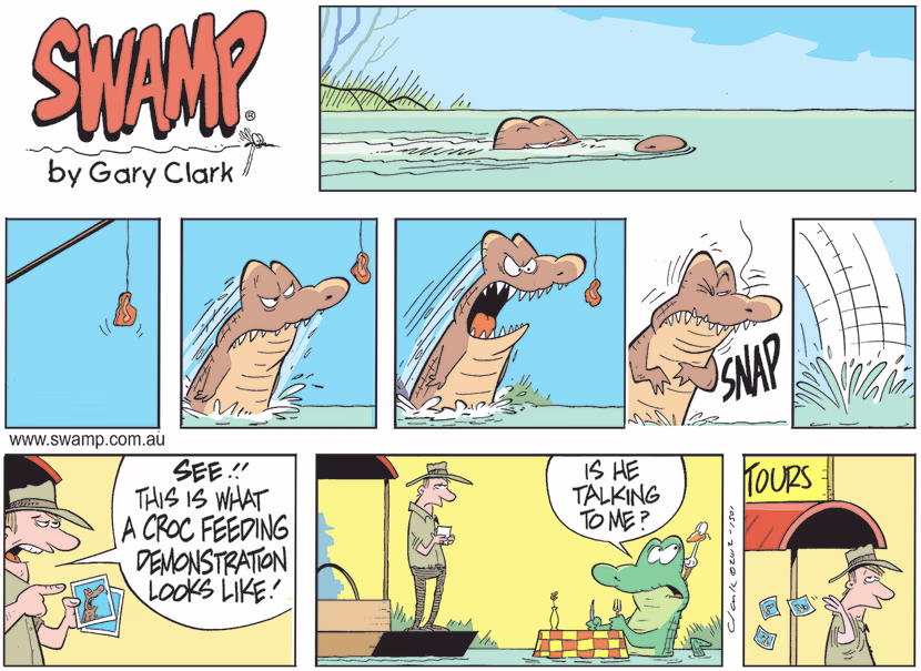 Tour Boat Operator is getting Old Man Croc up to speed on what on a croc feeding demonstration looks like. Swamp Cartoon - Feeding Demonstration Looks LikeAugust 14, 2022
