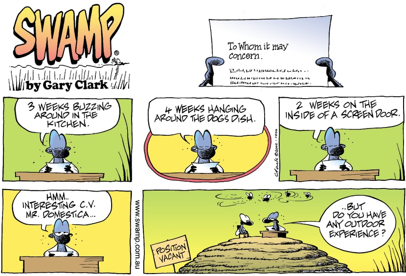 Swamp Cartoon - Fly WorkSeptember 8, 2002