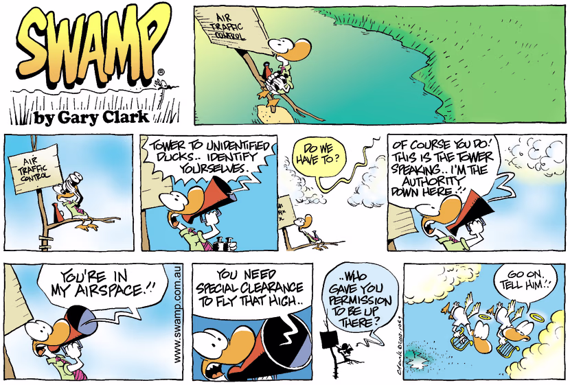 Swamp Cartoon - AirspaceJanuary 4, 2004