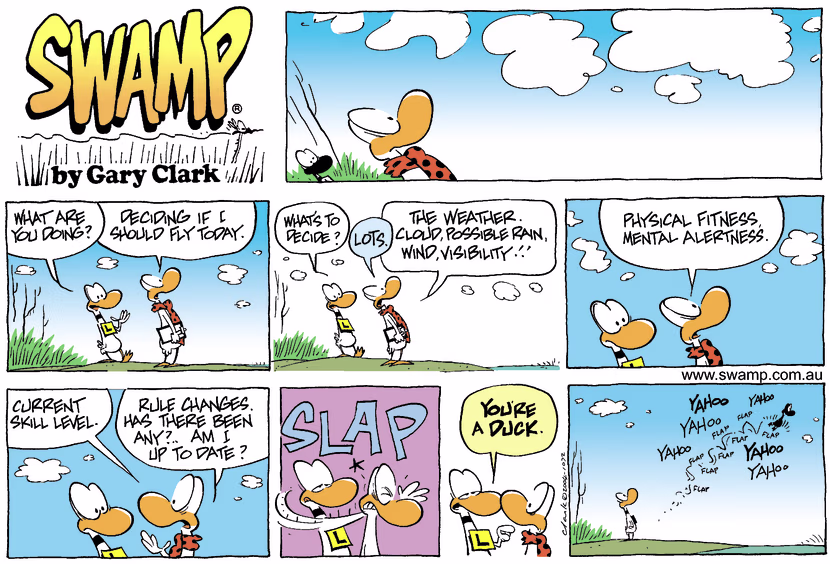 Swamp Cartoon - DecisionJanuary 25, 2004