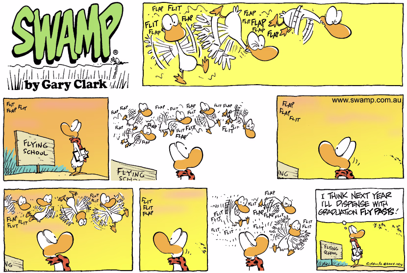 Flight Instructor is seeing some very awkward and chaotic flying by an Aviator Duck which leads to conclude to dispense with graduation fly pasts. Swamp Cartoon - graduation fly pastsDecember 19, 2021