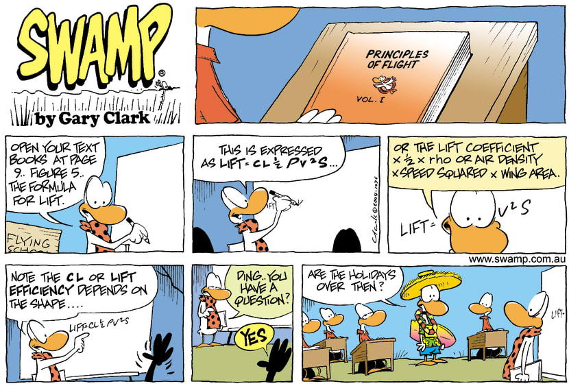 Swamp Cartoon - Flight PrinciplesFebruary 22, 2004