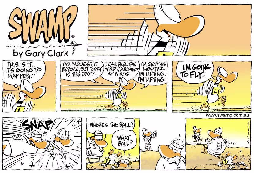 Ding Duck is racing down the runway gaining confidence he is going to take-off when he's unexpectedly taken out by a flying hazard. Swamp Cartoon - Flying HazardApril 27, 2025
