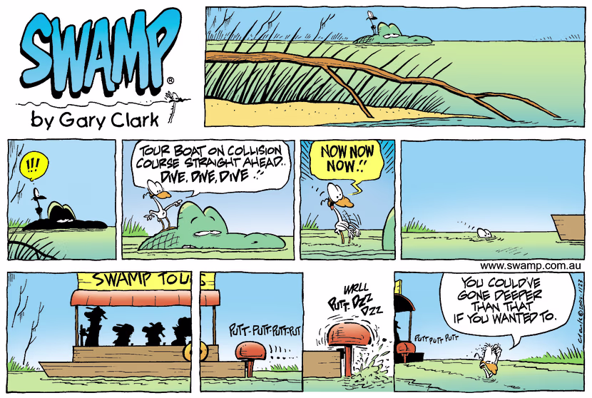 Nit Picker Bird is calling out to Old Man Croc their on collision course with the Tour Boat and to make a dodge attempt. Swamp Cartoon - The Dodge AttemptMay 4, 2025