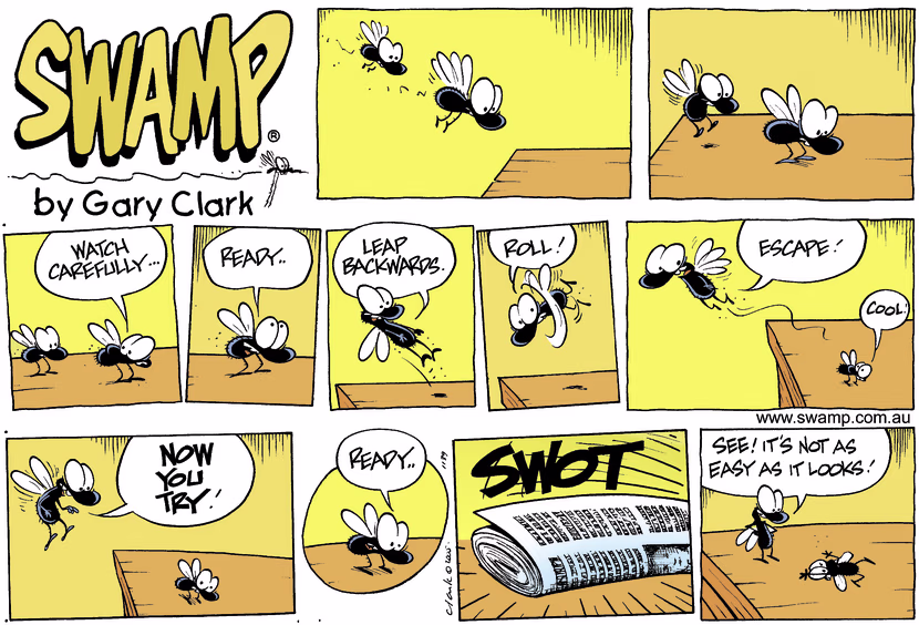 Swamp Cartoon - Fly TrainingMay 8, 2005