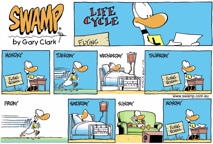 Swamp Cartoon - Ding Duck’s Week ComicNovember 6, 2005