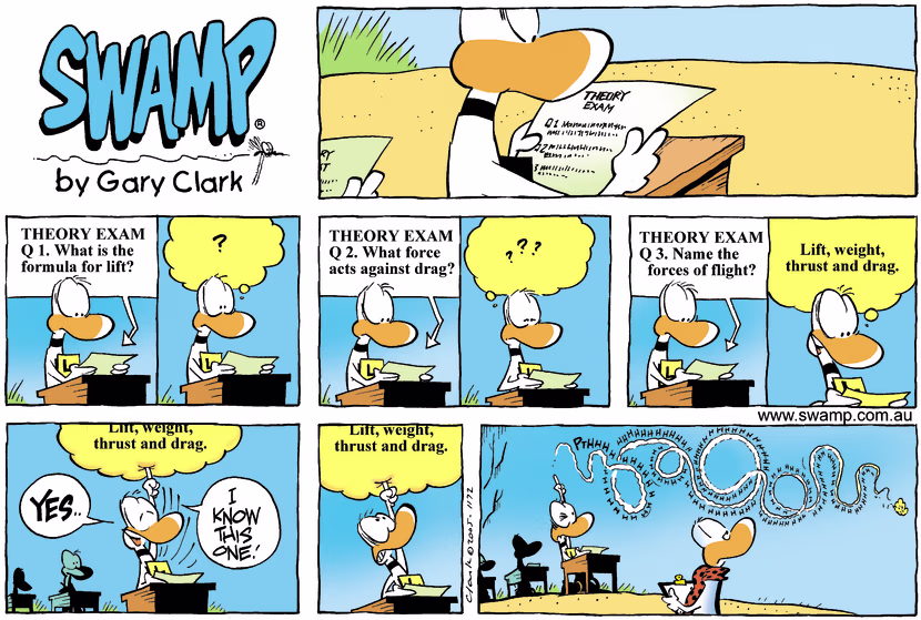 Swamp Cartoon - Exam IncidentDecember 25, 2005