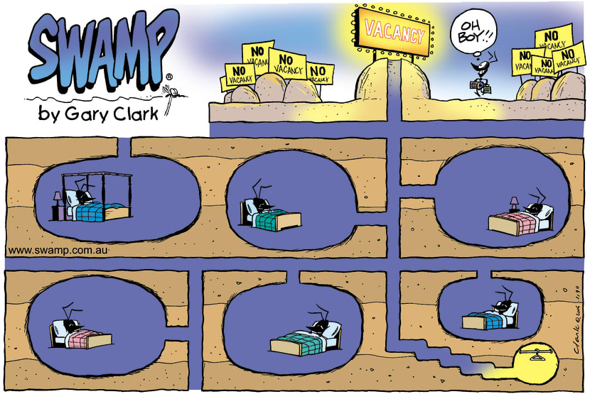 Swamp Cartoon - The Big BreakApril 30, 2006