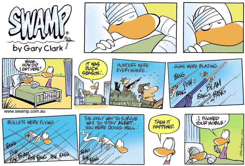 The Aviator Duck was doing well navigating through a hail of bullets from the hunters until something happened. Swamp Cartoon - Shooting AccidentFebruary 2, 2025