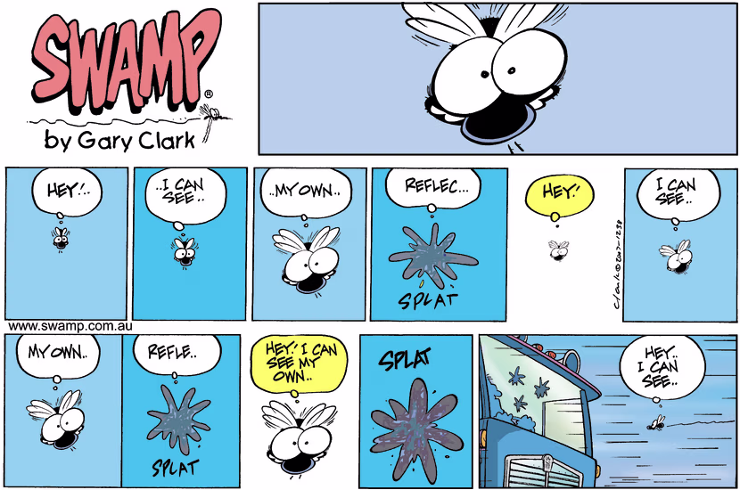 Swamp Cartoon - Spot the FlyApril 8, 2007