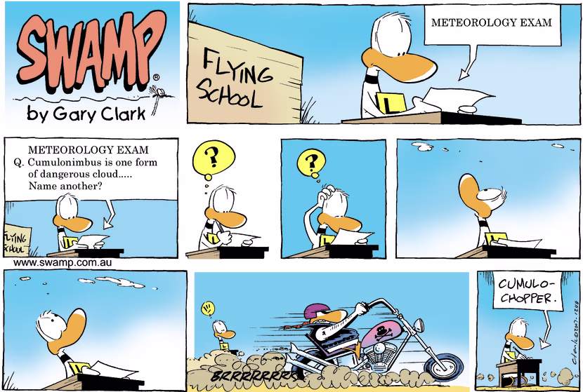 Swamp Cartoon - Ding Duck Meteorology ExamJune 17, 2007