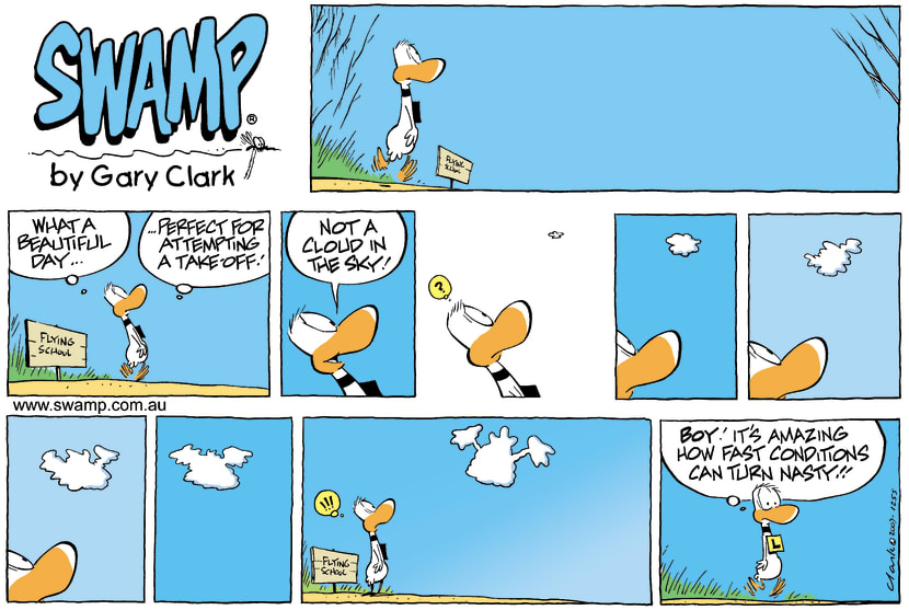 Swamp Cartoon - Reading the signsAugust 5, 2007
