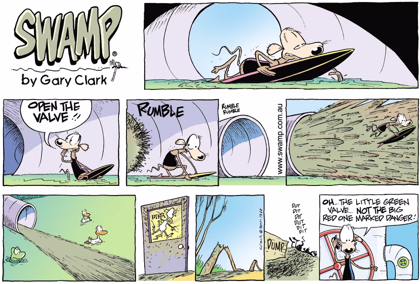 Swamp Cartoon - Surfs UpNovember 4, 2007