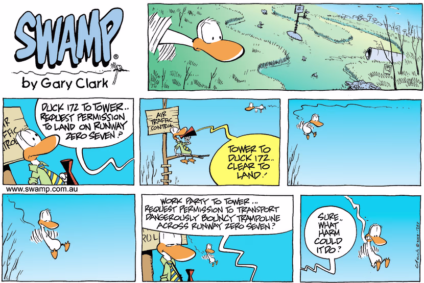 Swamp Cartoon - False LandingFebruary 24, 2008