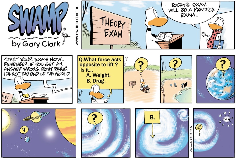 Swamp Cartoon - Theory Exam disasterMay 11, 2008