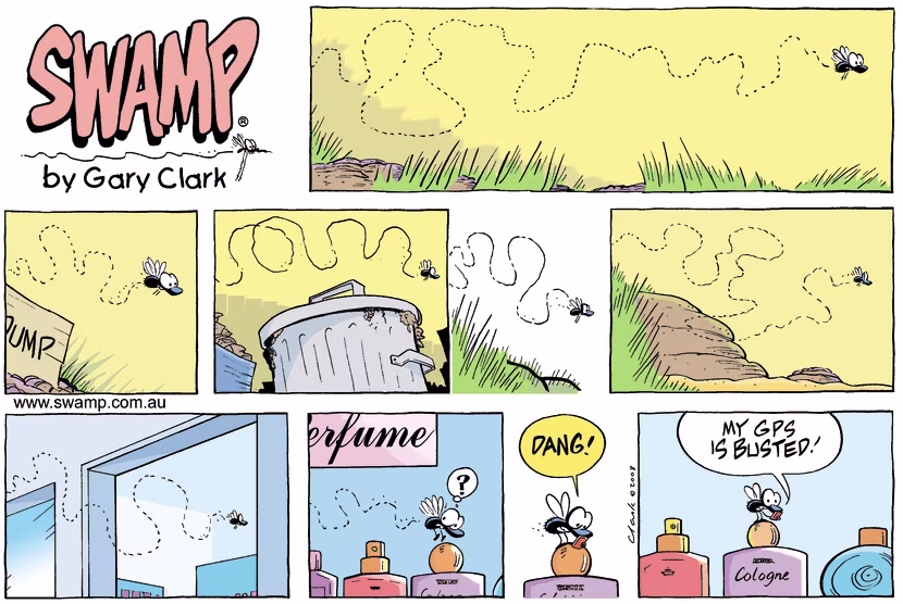 Swamp Cartoon - Poor DirectionJune 8, 2008