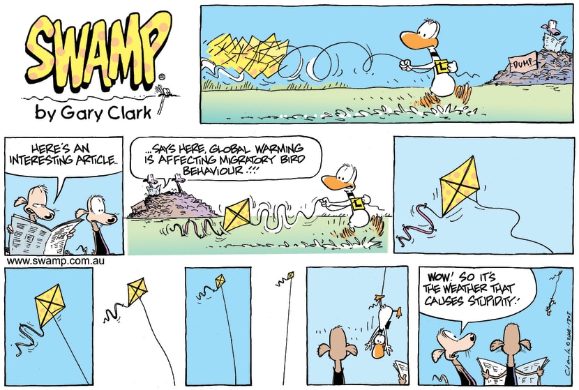 Swamp Cartoon - Up up and down!!!July 13, 2008