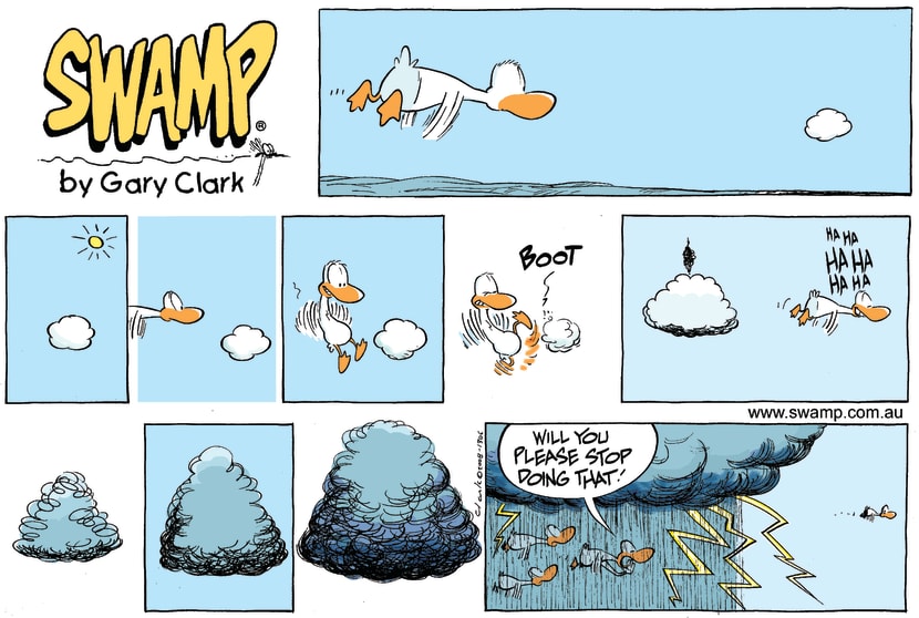 Swamp Cartoon - Nasty Weather ComicAugust 3, 2008