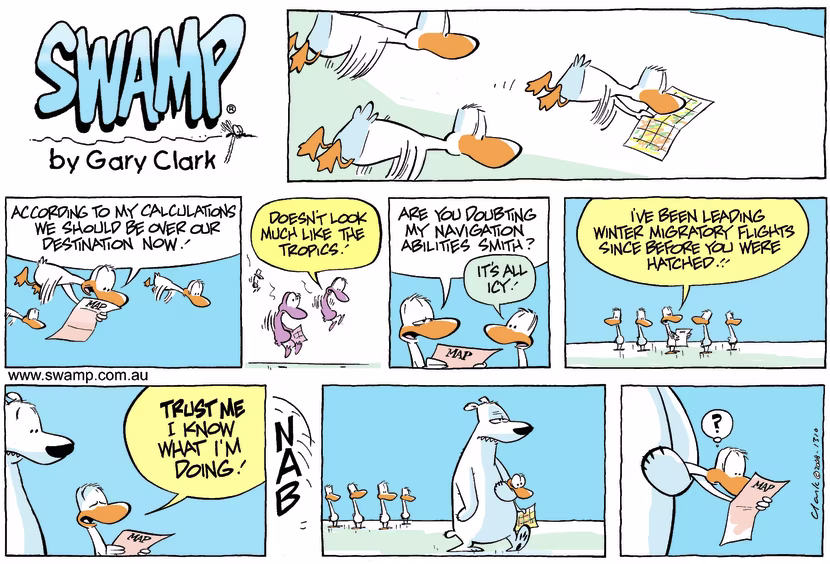Swamp Cartoon - Lost in MissionAugust 31, 2008