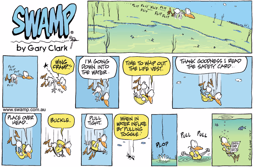 Swamp Cartoon - Emergency ProcedureDecember 21, 2008