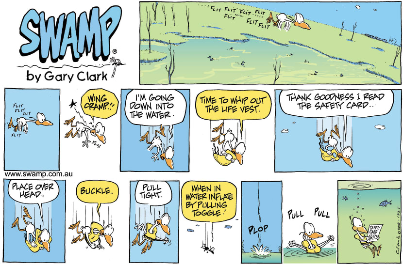 Swamp Cartoon - Emergency ProcedureDecember 21, 2008