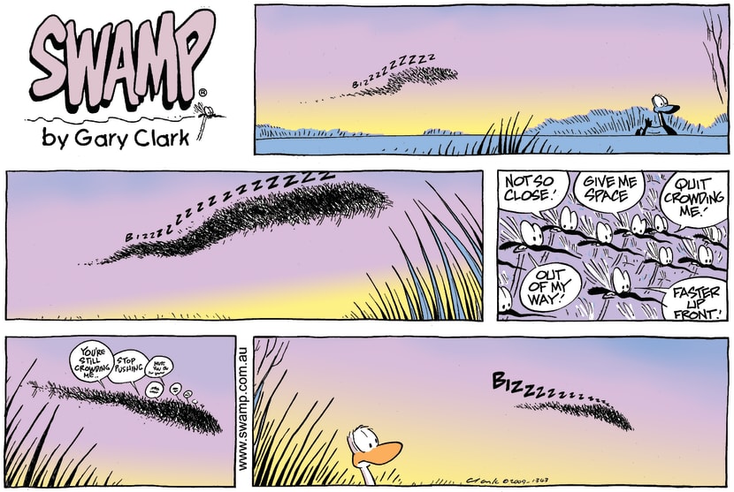 Swamp Cartoon - What’s in a Swarm?April 19, 2009