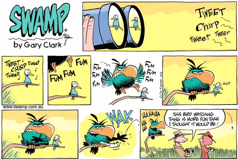 Swamp Cartoon - Birdwatching FunAugust 2, 2009