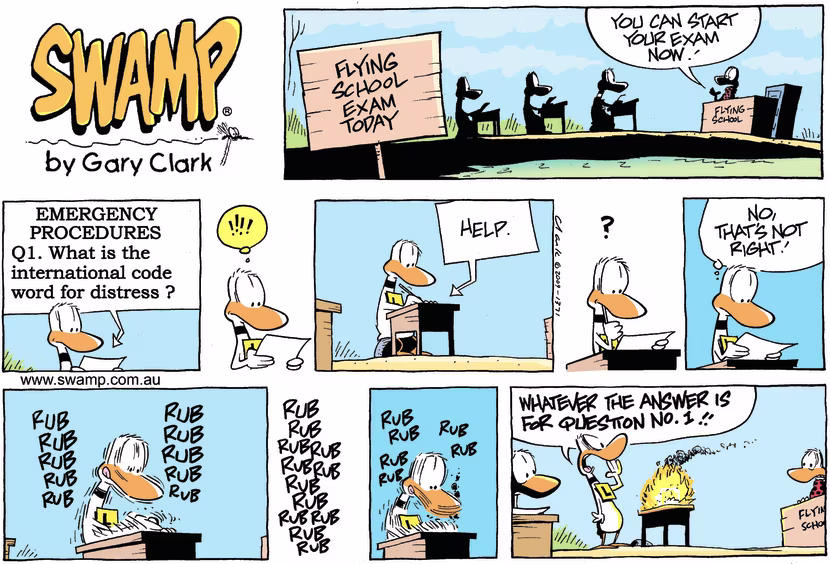 Swamp Cartoon - In a state of emergency…November 1, 2009