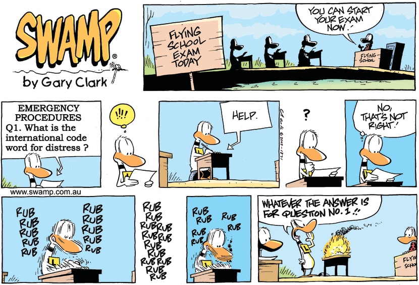 Swamp Cartoon - In a state of emergency…November 1, 2009