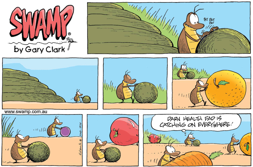 Swamp Cartoon - Crazy FadsNovember 15, 2009