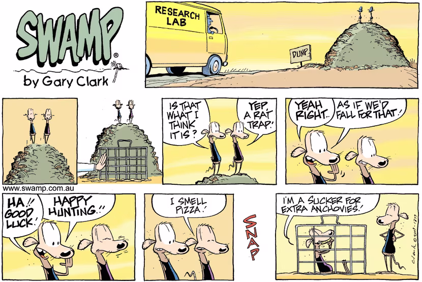 Swamp Cartoon - False EntraptmentDecember 27, 2009