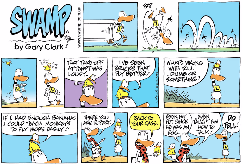 Swamp Cartoon - Everybody’s and Expert!May 2, 2010