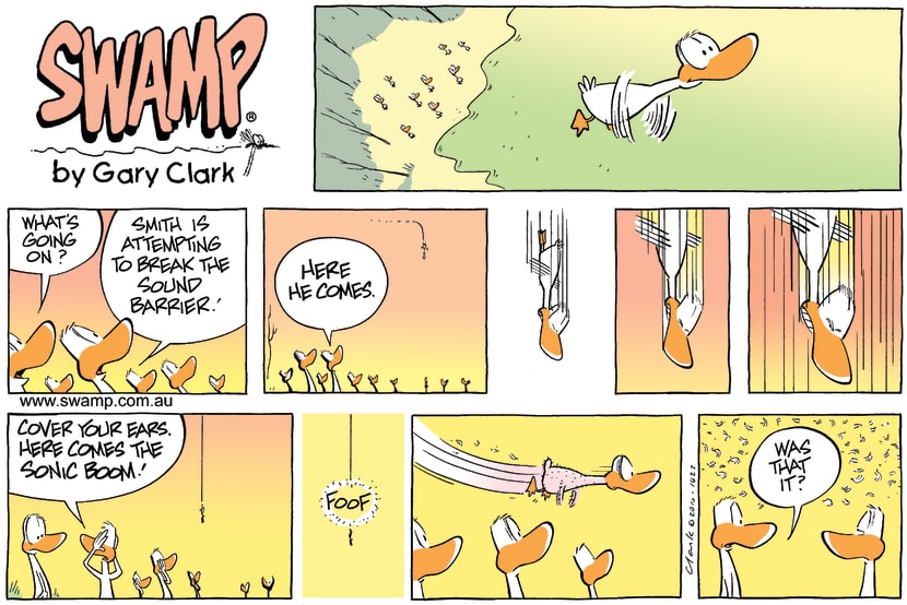 Swamp Cartoon - Up up and whatever…….November 21, 2010