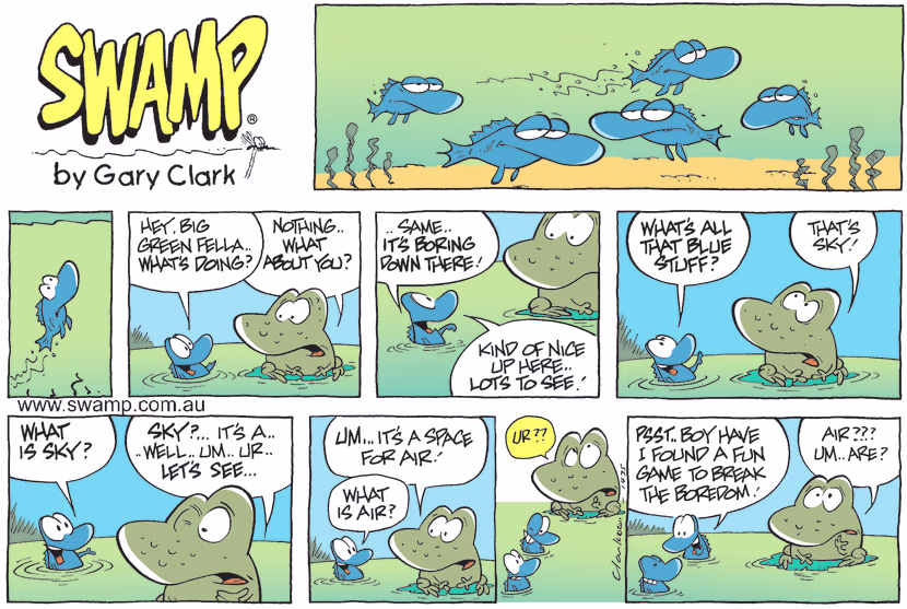 Swamp Cartoon - It’s a matter of Questions…January 23, 2011