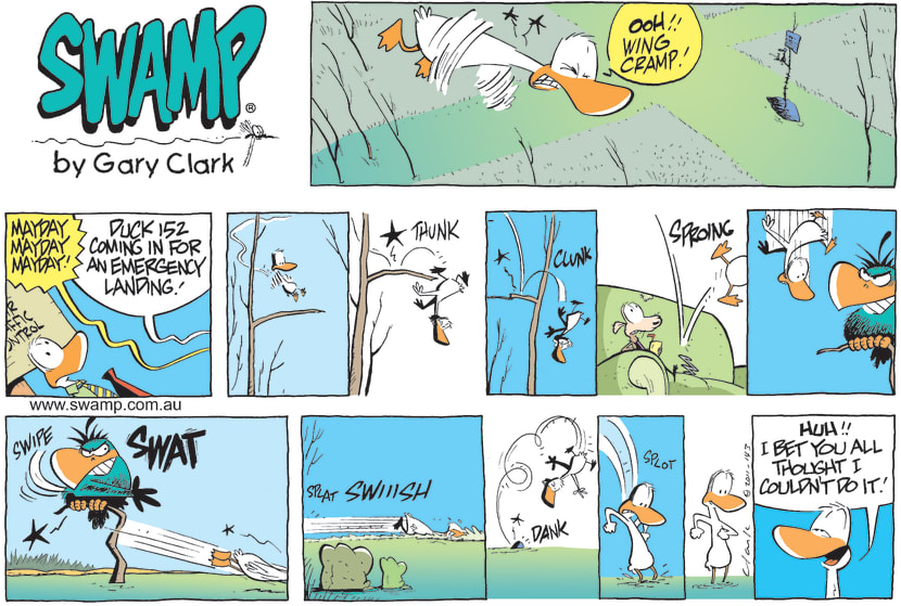 Swamp Cartoon - Pilot Emergency Landing ComicJanuary 30, 2011