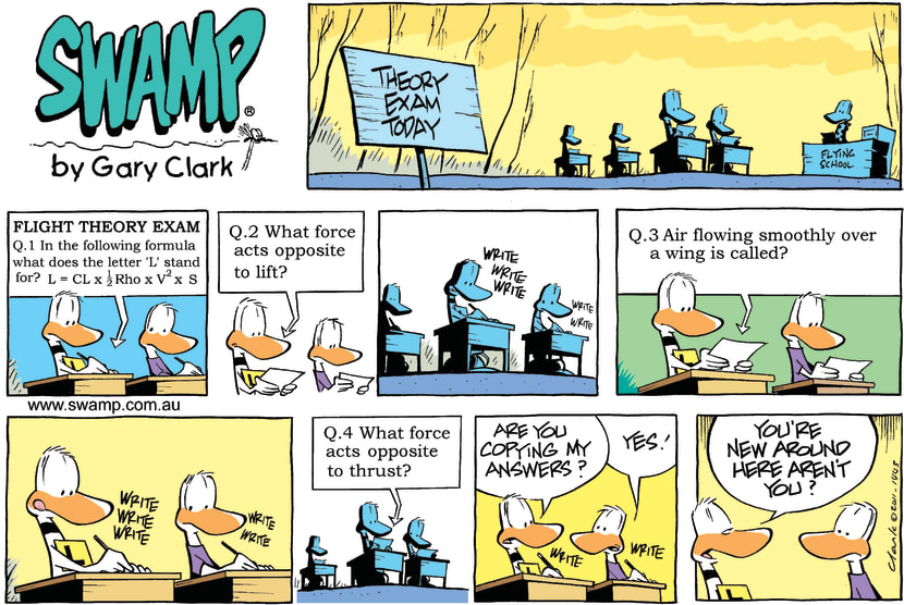 Swamp Cartoon - Tough QuestionsMarch 27, 2011