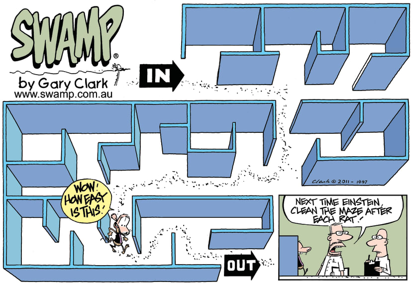 Swamp Cartoon - An Amazing Feat!April 24, 2011