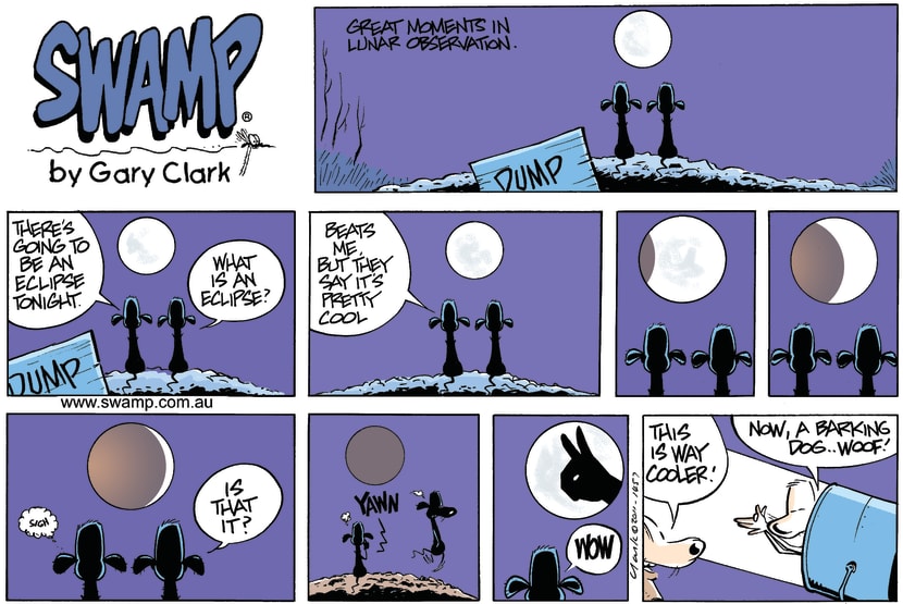 Swamp Cartoon - In the eye of the beholder….July 3, 2011
