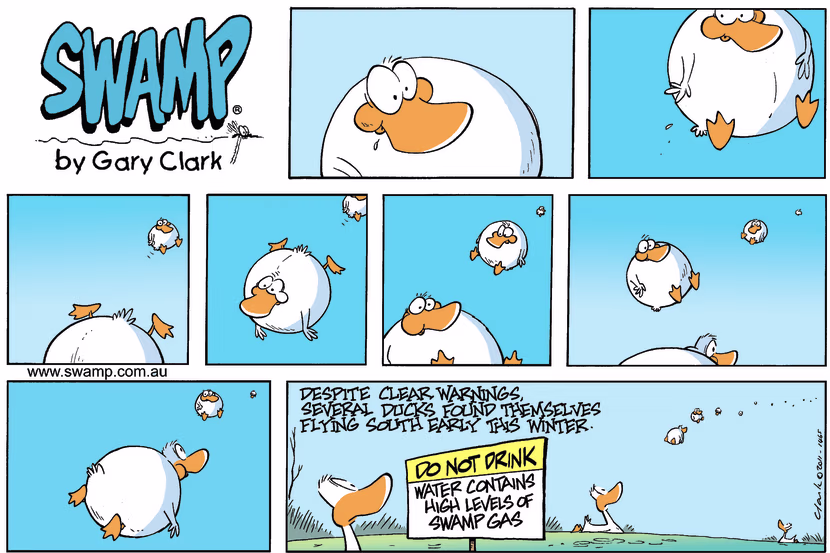 Swamp Cartoon - Ducks Fly South Early ComicAugust 28, 2011