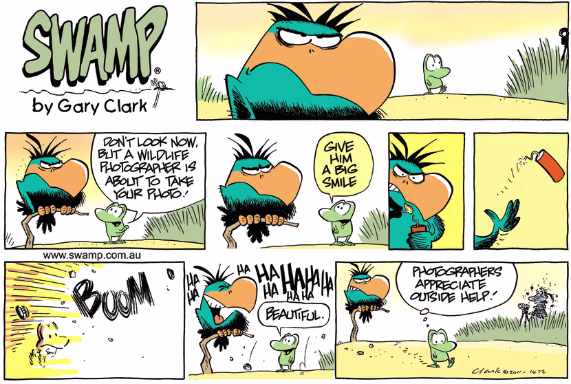 Swamp Cartoon - Bludgerigar Helping HandOctober 9, 2011