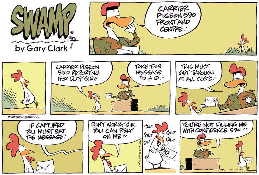 Swamp Cartoon - Chicken Outfit…May 20, 2012