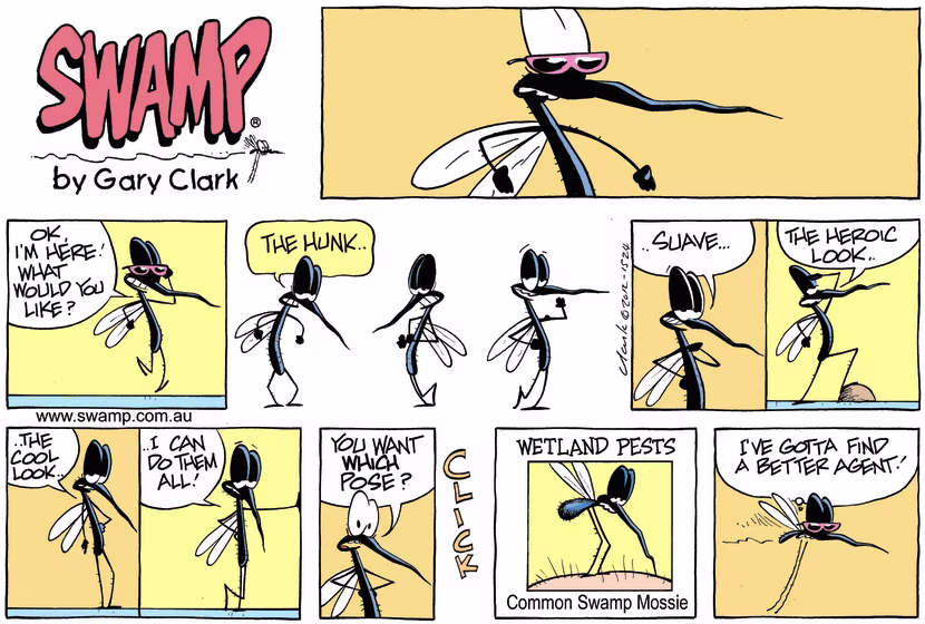 Swamp Cartoon - The Look ComicOctober 14, 2012