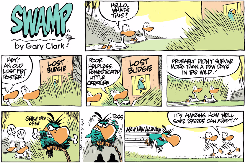 Swamp Cartoon - Lost Budgie CartoonMay 19, 2013